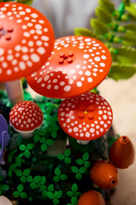 Конструктор LEGO Botanicals Лісові гриби
