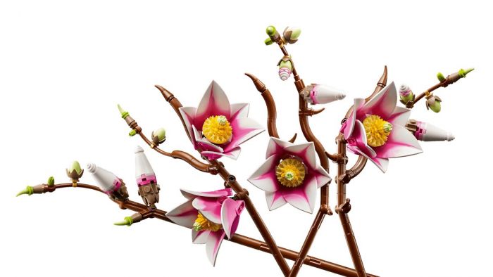 Конструктор LEGO Botanicals Гілки магнолії