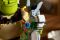 Конструктор LEGO Shrek Шрек, Віслюк і Кіт в чоботях