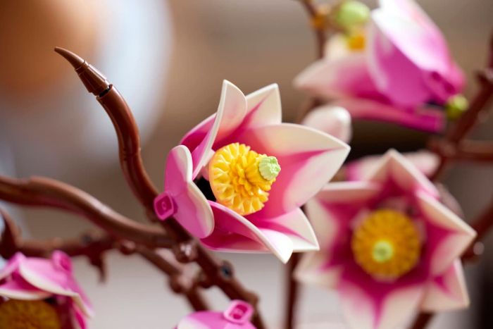 Конструктор LEGO Botanicals Гілки магнолії