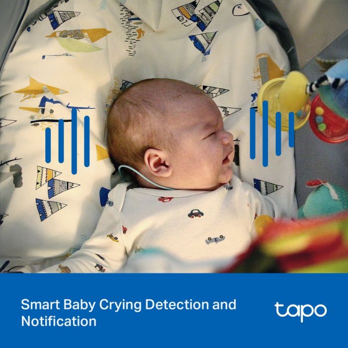 IP-Камера TP-LINK Tapo C206 FHD N300 microSD motion detection. зовнішня/внутрішня, AI