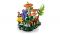 Конструктор LEGO Botanicals Лісові гриби