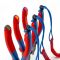 Кусачки-бокорізи KNIPEX 0-4.2мм 200мм 0.304кг