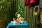 Конструктор LEGO Pokemon Рейкваза