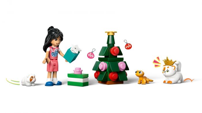 Конструктор LEGO Advent Friends 2025